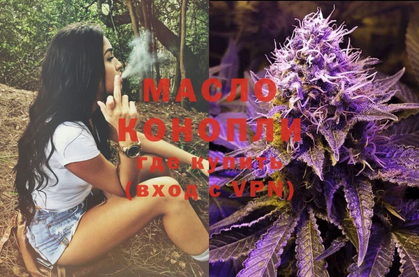 прущие грибы Лабытнанги