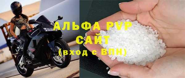 прущие грибы Лабытнанги