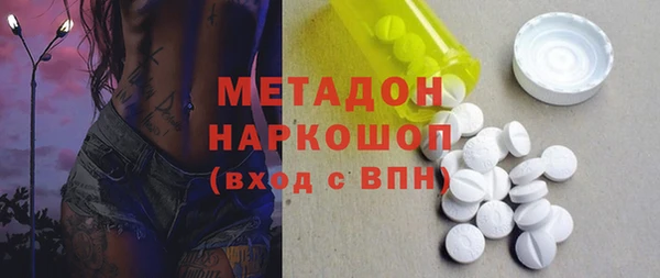 прущие грибы Лабытнанги
