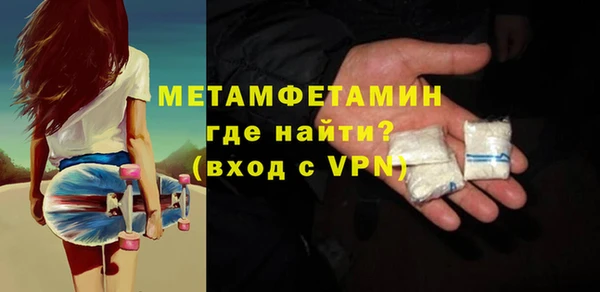 прущие грибы Лабытнанги