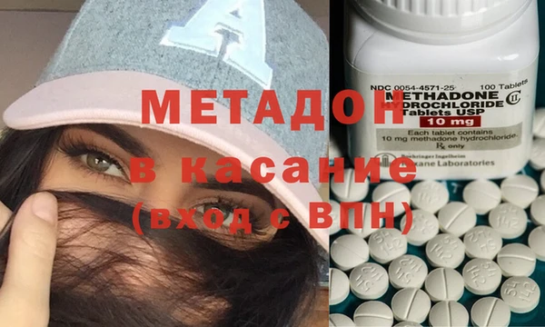 прущие грибы Лабытнанги