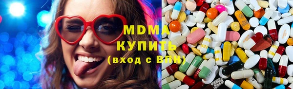 прущие грибы Лабытнанги